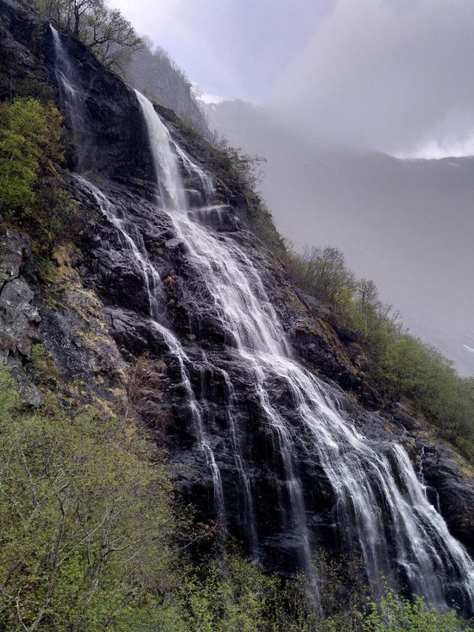 Flam Hostel Exterior photo